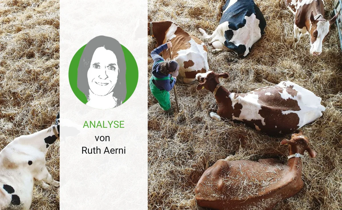analyse-16 Wie wenig Lohn kann sich die Landwirtschaft leisten?