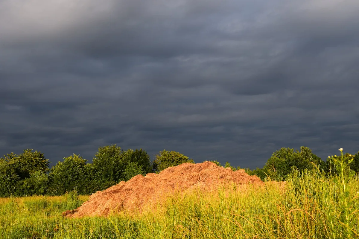 dung-1486027_1280 Deutsche Bauern sind sauer: Misthaufen auf Wegen und Strassen