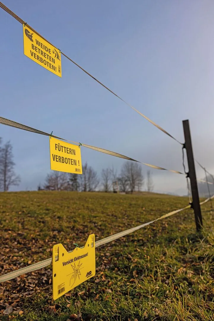 Gelbe Warnschilder hängen an den Litzen eines Weidezauns: Dieser Zaun steht unter Strom!