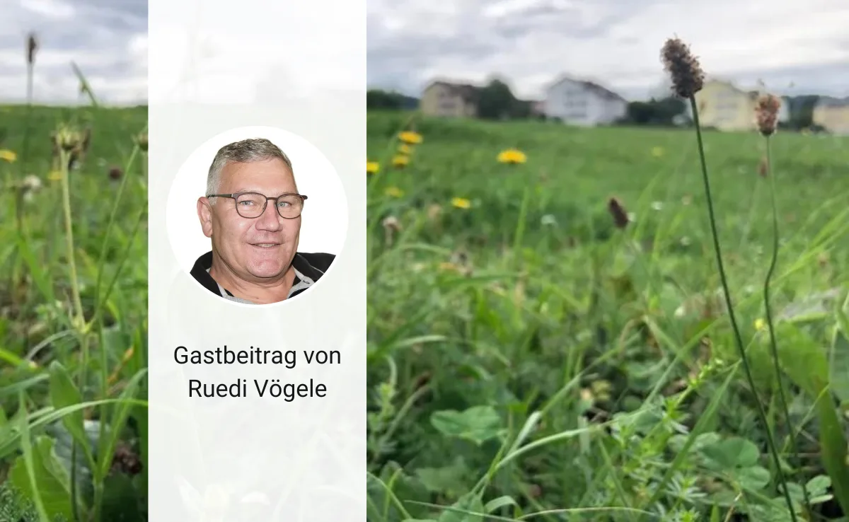 Artikel_Gastbeitrag_BauZ_VoegeleBio Bio im Spannungsfeld der Biodiversitätspolitik