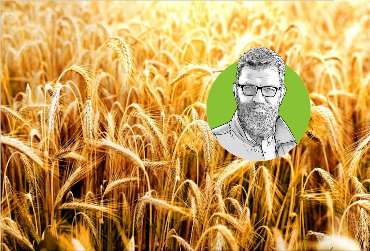 Porträtzeichnung von «die grüne»-Chefredaktor Jürg Vollmer vor einem eizenfeld.