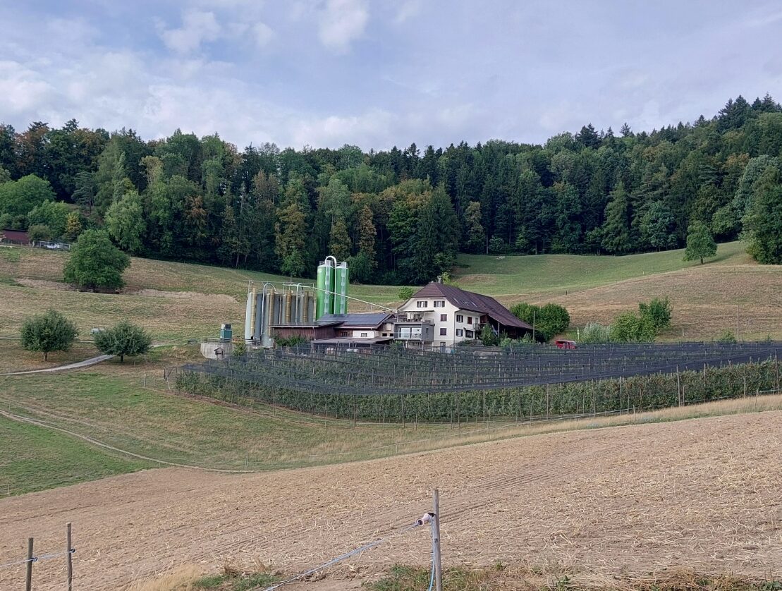 Die Umgebung ist von der monatelangen Trockenheit gezeichnet. Im Vordergrund steht die Obstanlage des Betriebs.
