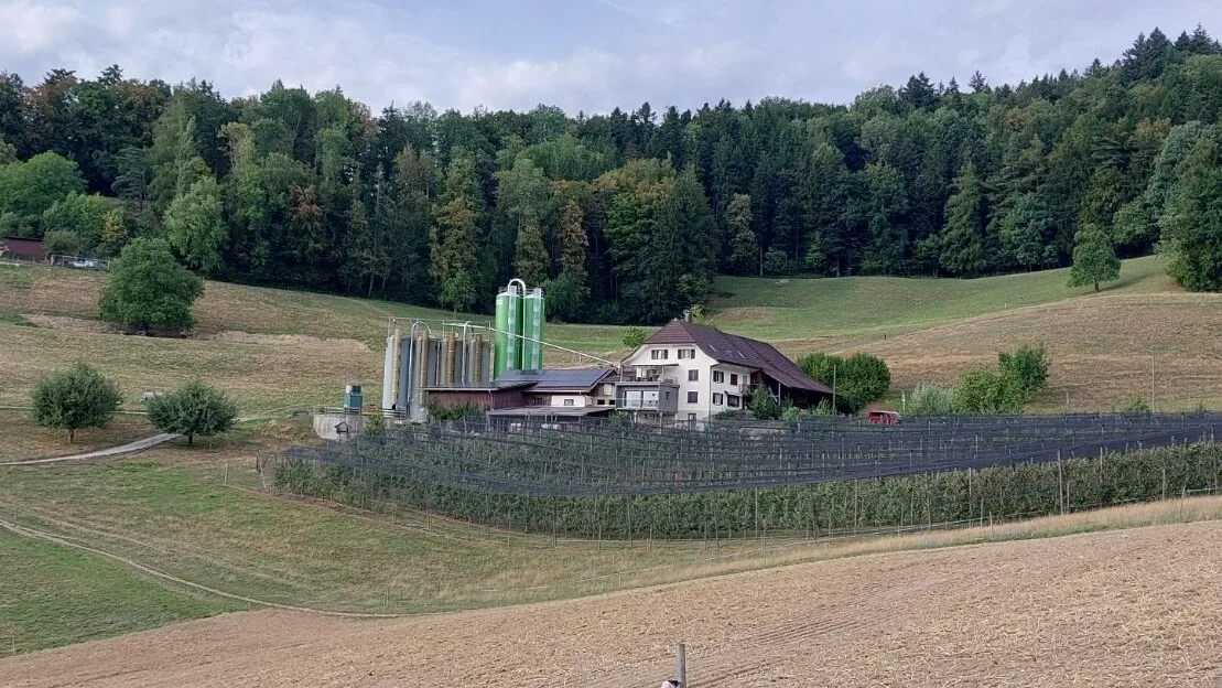20260818_173335 Die Umgebung ist von der monatelangen Trockenheit gezeichnet. Im Vordergrund steht die Obstanlage des Betriebs.
