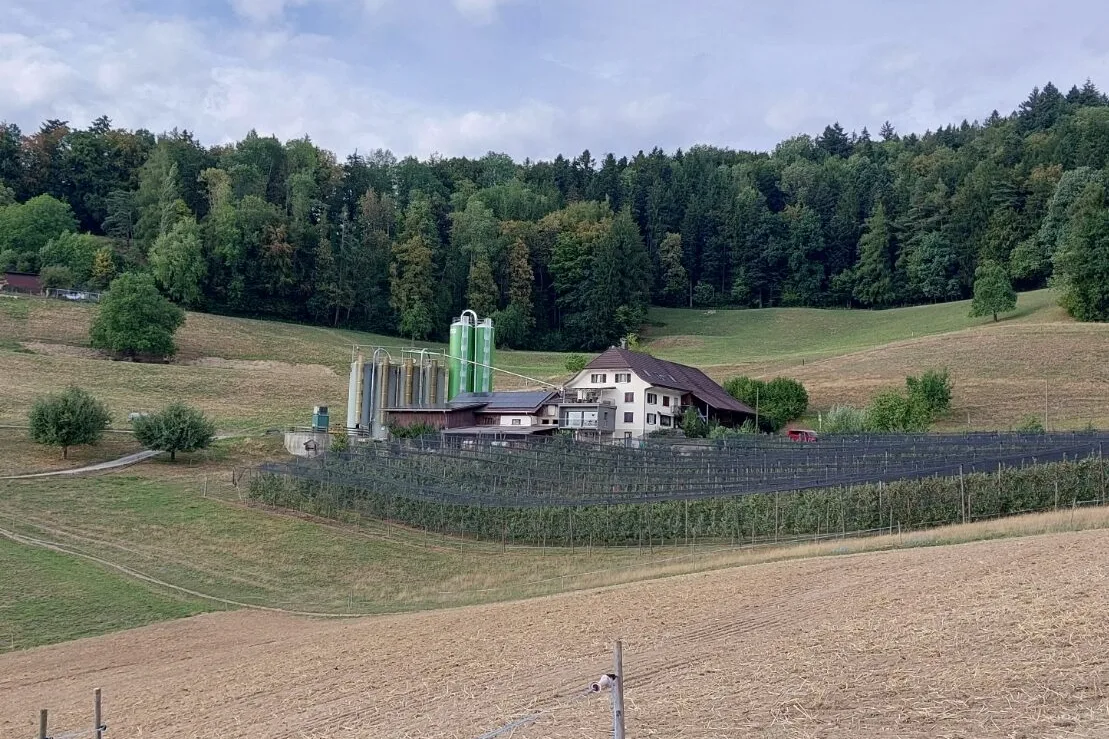 20260818_173335 Die Umgebung ist von der monatelangen Trockenheit gezeichnet. Im Vordergrund steht die Obstanlage des Betriebs.