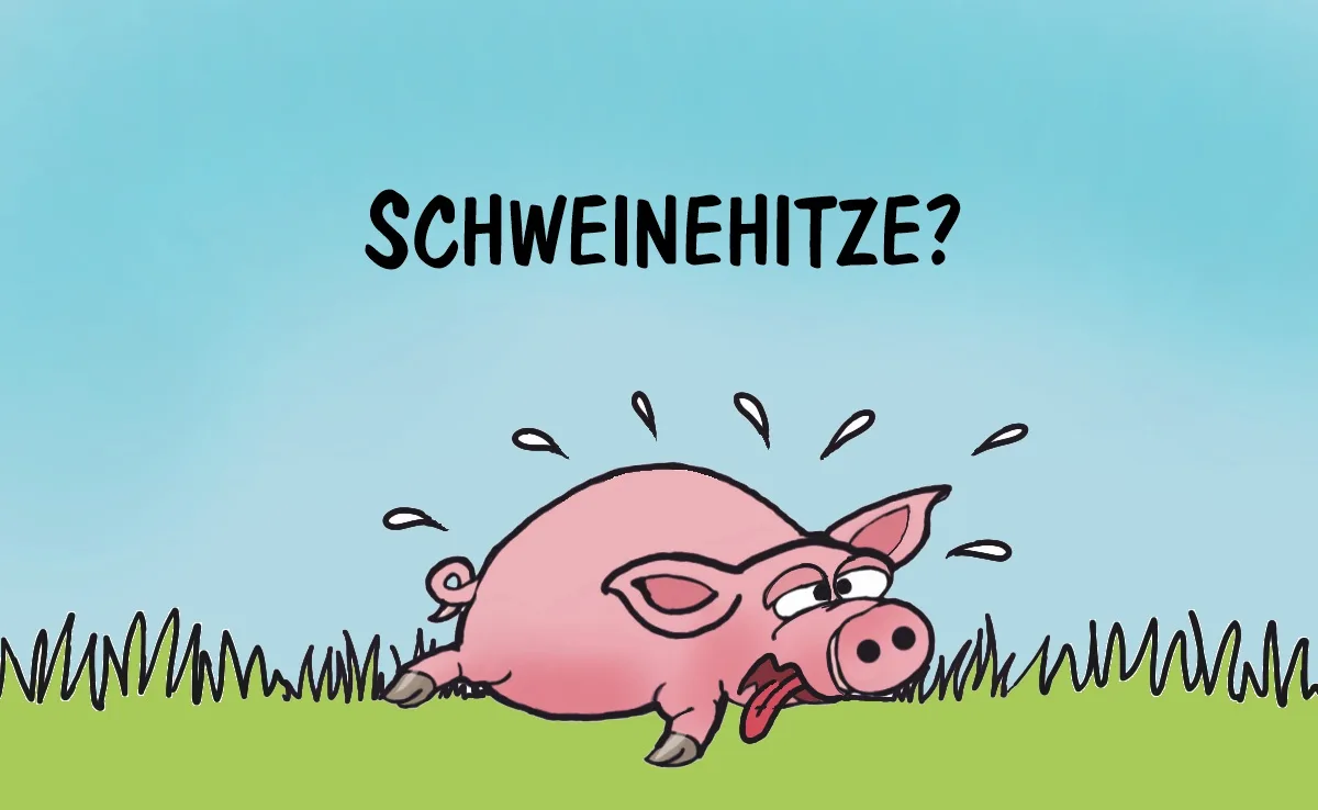 Cartoon von Marco Ratschiller/Karma: Heisse Zeiten für Schweine