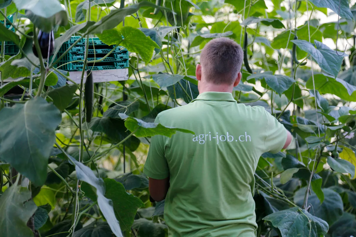 «Die Landwirtschaft bietet Perspektiven»