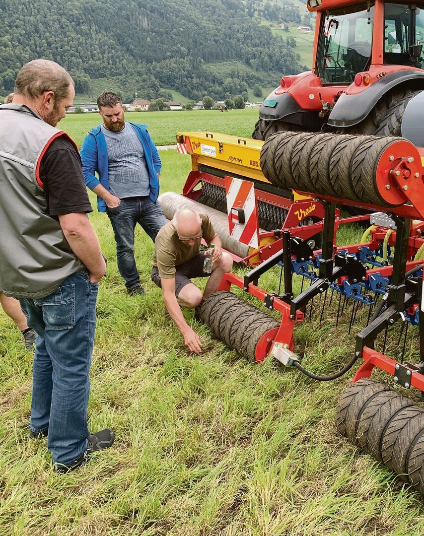 Mit Striegel und Übersaat lässt sich auch die Borstenhirse etwas eindämmen.