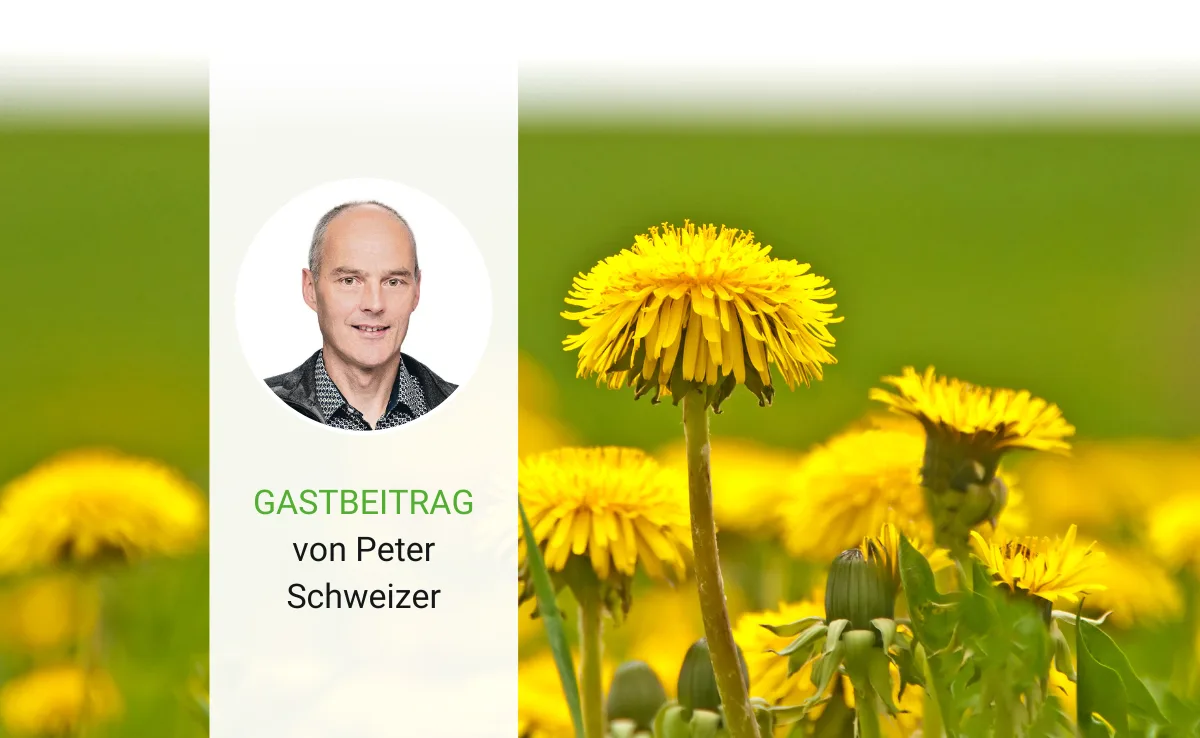 Artikel_Gastbeitrag_BauZ_SchweizerFruehling Es ist Frühling und ich wünsche mir mehr Unbeschwertheit
