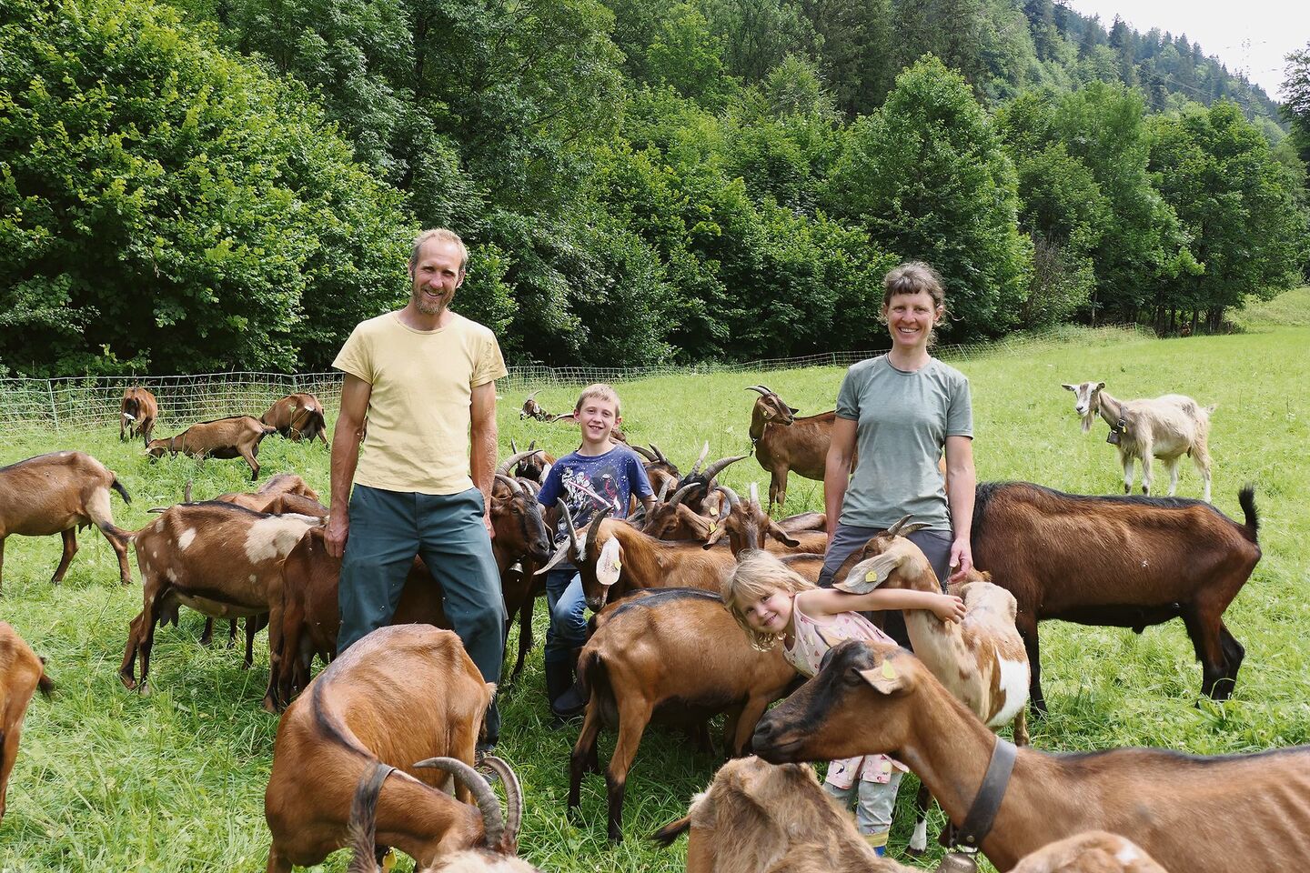 Samuel Bommeli und Simone Burki mit den Kindern Orell und Lina inmitten ihrer anhänglichen Ziegen auf einer der wenigen eher flachen Weiden. Die meisten Parzellen des Betriebs befinden sich dagegen in Steillage.