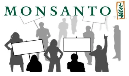 b9f246ae536721345e9cd876972039460f2e1dd9 Monsanto war für Bayer bisher alles Andere als ein lohnendes Geschäft: Die Bayer-Aktie verlor nach der Übernahme drastisch an Wert. (Fotomontage jsc)