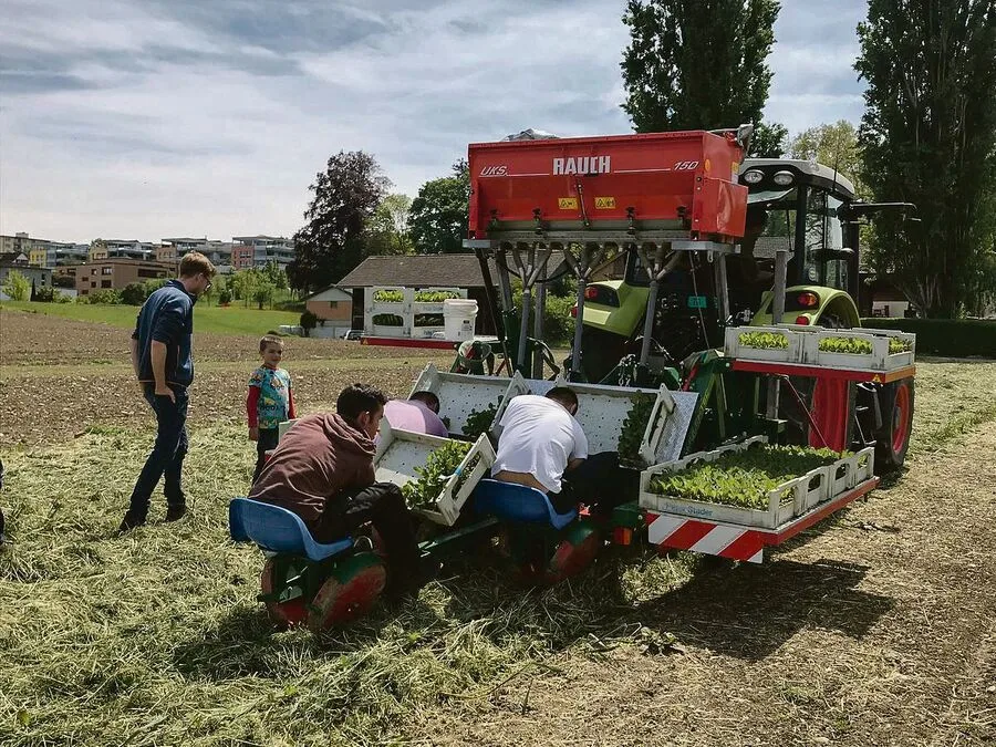 95f1a875d75a84719bfbb3aa3313b96e9fad56b3fb5e07deafea1786422e32ec Viele Betriebe, etwa im Gemüsebau, sind auf Angestellte ange-wiesen. Diese erwarten zeitgemässe Arbeitsbedingungen.