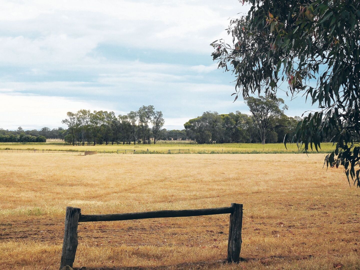 Das australische Klima fordert die Landwirtschaft. Und nicht nur diese: Wenn weniger angebaut wird, hat das Folgen für die ganze Wirtschaftskette.
