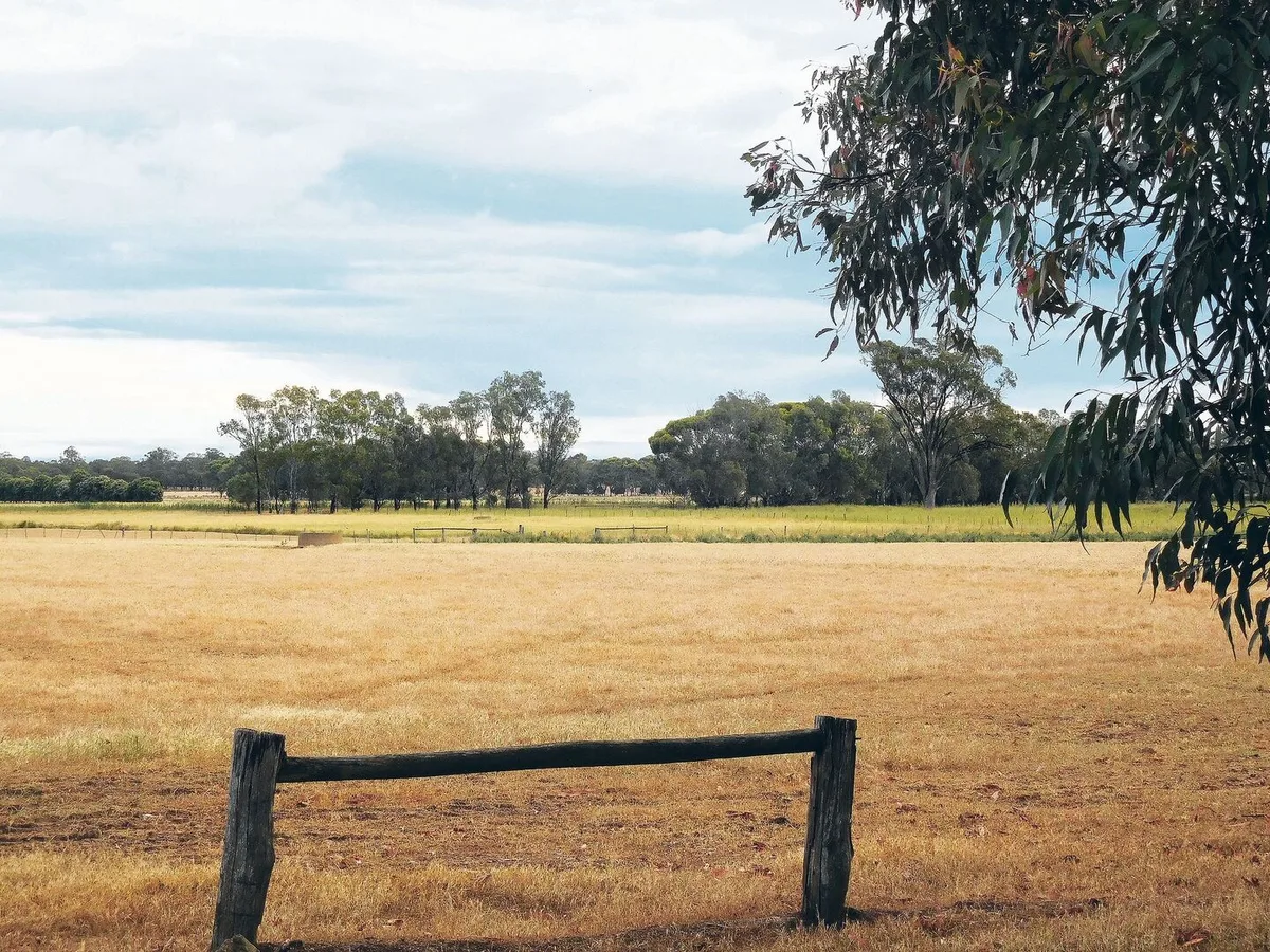 5dbd22fd9c30f6aaa7f0360d521fb2a43ee937159314fe0c26669444f4698fdf Das australische Klima fordert die Landwirtschaft. Und nicht nur diese: Wenn weniger angebaut wird, hat das Folgen für die ganze Wirtschaftskette.