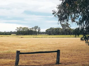 Das australische Klima fordert die Landwirtschaft. Und nicht nur diese: Wenn weniger angebaut wird, hat das Folgen für die ganze Wirtschaftskette.