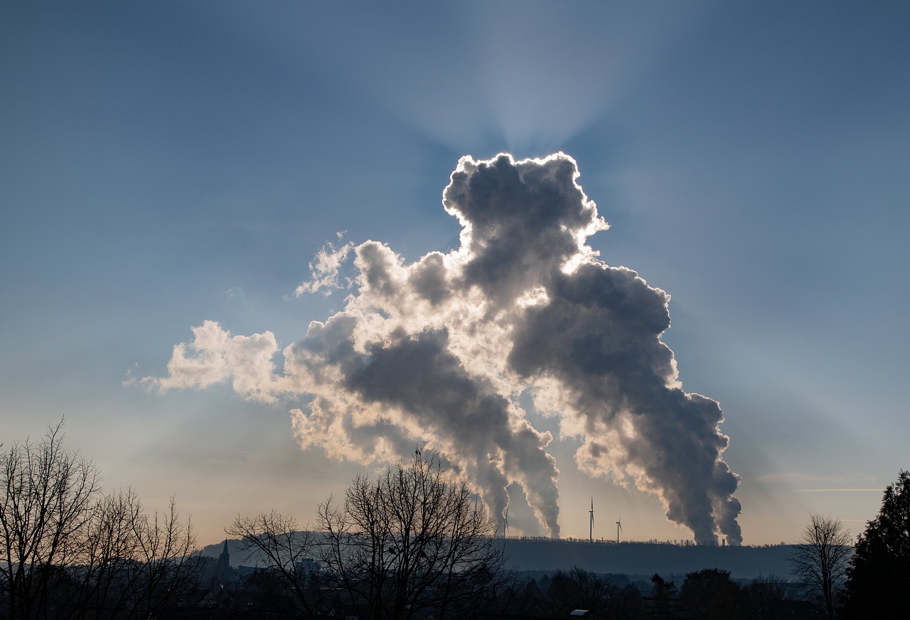 Nicht alle Treibhausgasemissionen der Landwirtschaft lassen sich vermeiden, wenn die Selbstversorgung bei 50 % liegen soll. (Bild Pixabay)