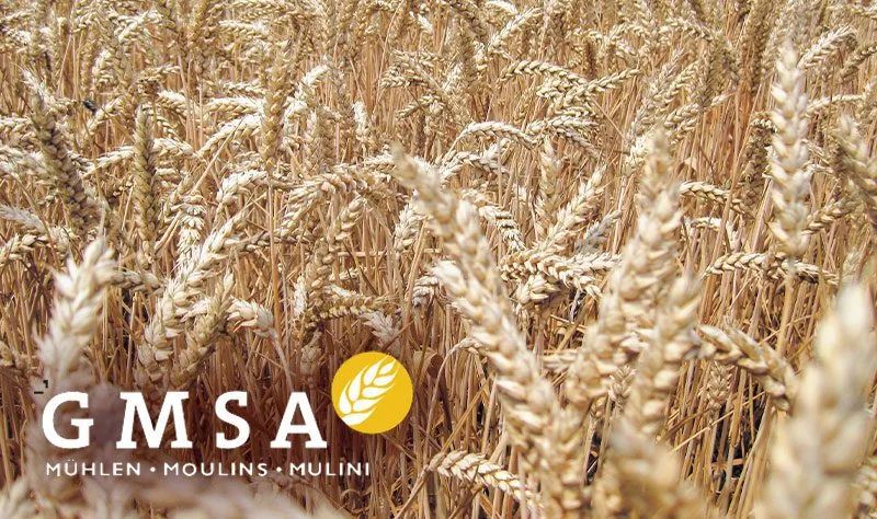 GMSA Palastrevolte und ein überraschender Rücktritt bei grosser Schweizer Mühlengruppe