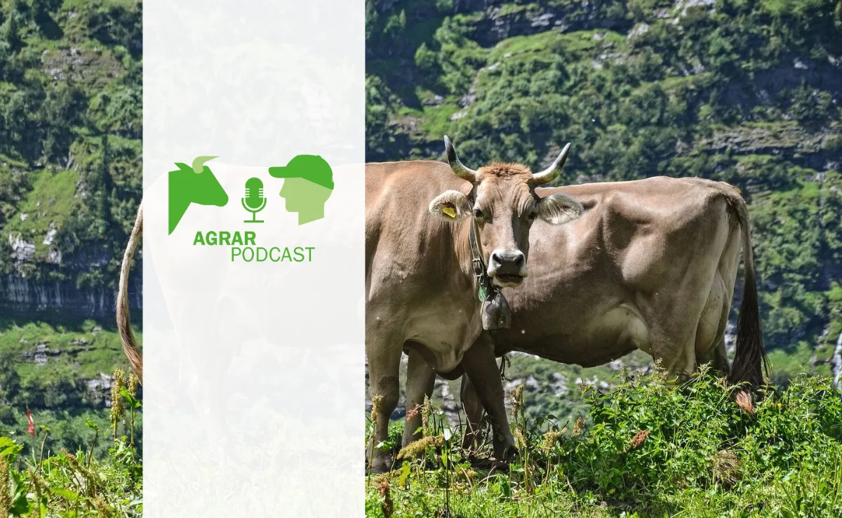 podcast-20 «AgrarPodcast» Episode 20: Schweizer Nutztier-Lexikon, eine Schicksalsgeschichte und der «Lehrling des Jahres 2022»