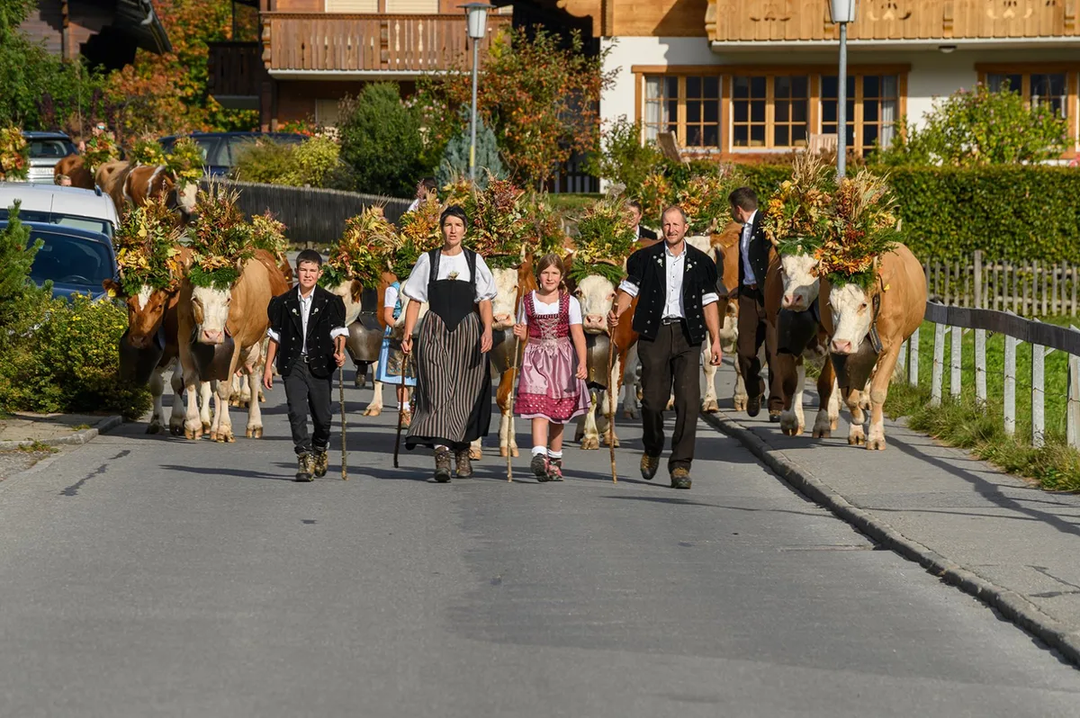 929a93f3d792ad60ca67d046aa61e8b1b13fbfc9 Die Organisatoren sollen dem nächsten Herbst zuversichtlich entgegen schauen. (Bild lenk-simmental.ch)