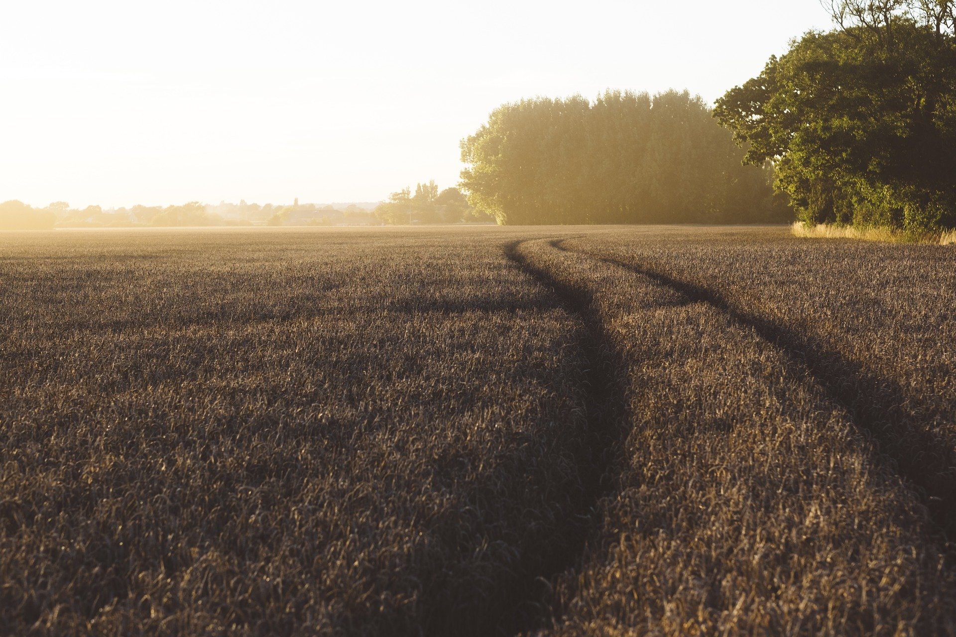 Wie das landwirtschaftliche Einkommen eigentlich berechnet werden sollte