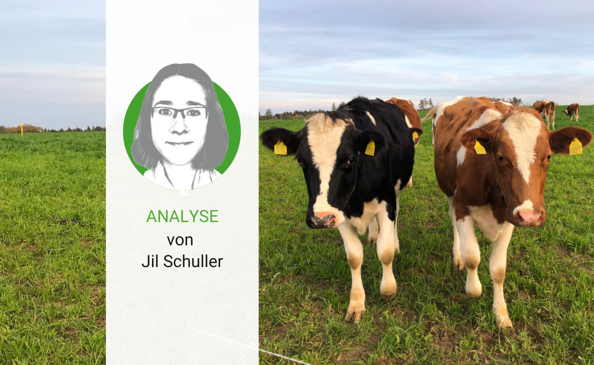 Zusammenarbeit bietet einen Ausweg, wenn der Betrieb nicht mehr zu rentieren droht