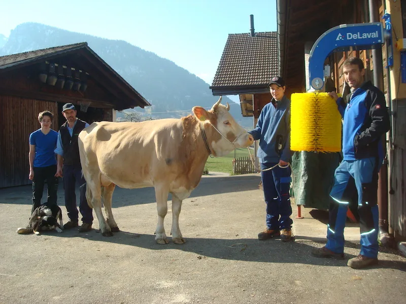 8c43ac1358af4a565fea413fd22f4f95f2b875b6 Michael, Markus und Patrick Zurbrügg, mit Akaley sowie DeLaval Händler Beat Lörtscher. (Bild zVg)