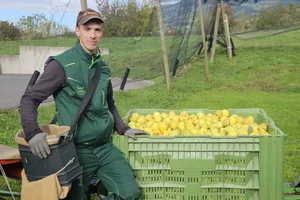 Für Szabolcs Balázs passen die Arbeitsbedingungen in der Schweiz. Er verdient besser und hat mehr Freizeit als in seiner Heimat.