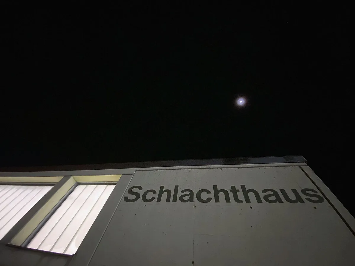 dc0d541dbeb08534aad0b09e1428a13e321171ef562898bf3e652bd101d0f08d Für die meisten Landwirte endet die Tierhaltung beim Abladen im Schlachthaus – aber nicht für alle. Obwohl das Töten auf dem Hof eine Nische ist: Die Zahl der Gesuchstellenden steigt.