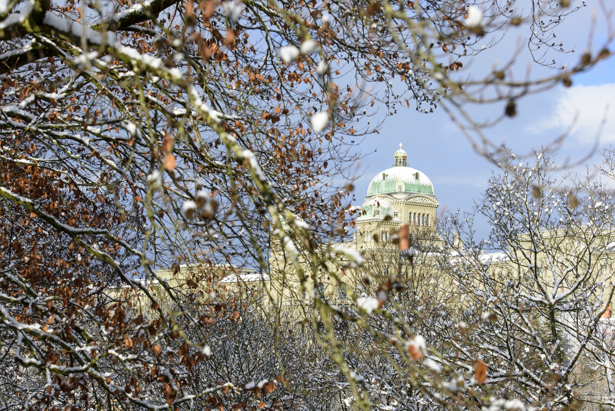 In der Wintersession beschäftigen u. a. Wolf, BFF und Reduktionsziele