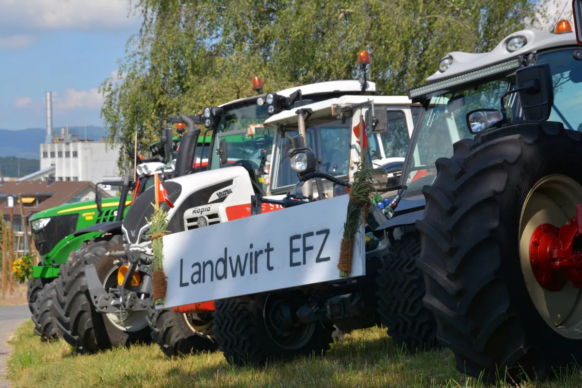 425684587a2dded6ee9814059a4d8f85dde7422b Nach den Lehrjahren haben Junglandwirte häufig keine Lust, als Angestelle auf die Höfe zurückzukehren. Bild anlässlich der Abschlussfeier am LBBZ Schluechthof 2019. (Bild aem)