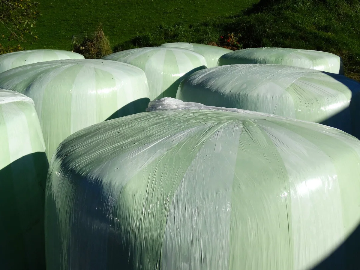 silo-bales-g47a8c53a2_1920 Der Schweizer Bauernverband ist neu Mitglied im Verein Erde Schweiz