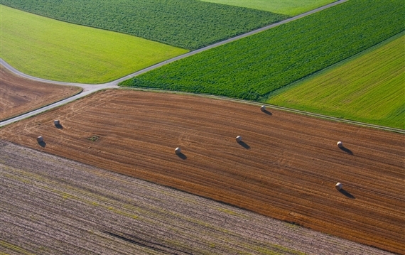 Die Analyse der Expertengruppe ergibt, dass der Sachplan FFF grundsätzlich ein wirkungsvolles Instrument sei, um wertvolles Kulturland zu erhalten. (Symbolbild Marielle Gubelmann/landwirtschaft.ch)