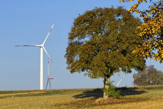 cb79ecad0ef9cb52cc9799fb630d2f7af561094b Die Versorgung mit sauberer, erschwinglicher und sicherer Energie ist ein Punkt des "Green Deals". (Symbolbild Pixabay)