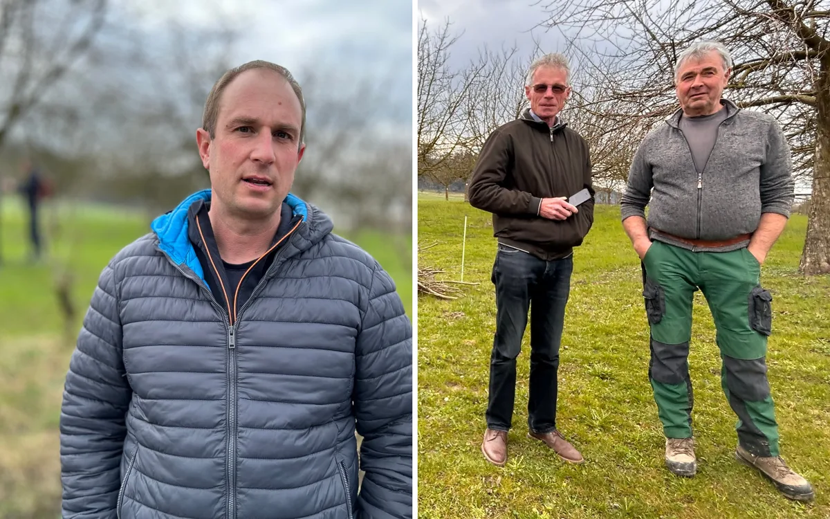 Besuch im Sortengarten: Jeder Baum ein Unikat