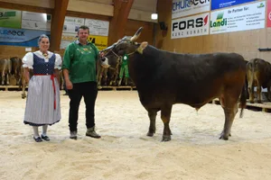 Wie bereits im Vorjahr wurde Jakop von Martin Schrepfer aus Wald ZH Senior Mister beim Original Braunvieh.