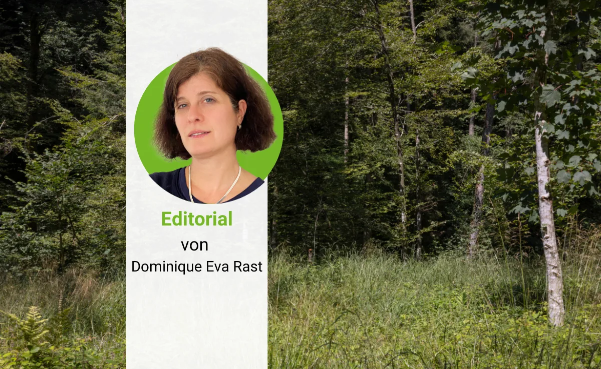 Editorial_DG__1_ Berufskollegen geben Denkanstösse für den eigenen Alltag