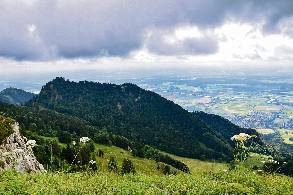 46dc889f6f214662d31b9b7da838658443acb262 Der Bettlachstock im Solothurner-Jura wurde von der Unesco als neues Weltnaturerbe anerkannt und bekommt so eine weltweite Bedeutung.