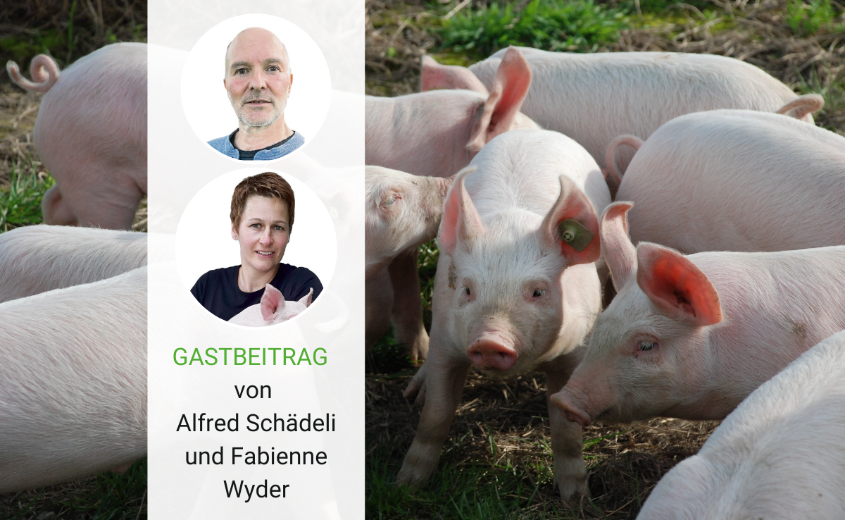 Ein Landwirt für und eine Landwirtin gegen die MTI erklären ihren Standpunkt