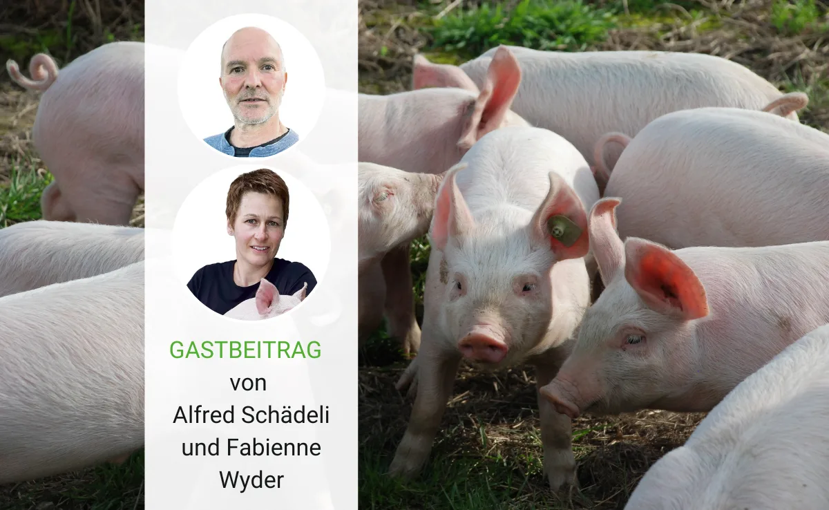 pro_contra_mti Ein Landwirt für und eine Landwirtin gegen die MTI erklären ihren Standpunkt