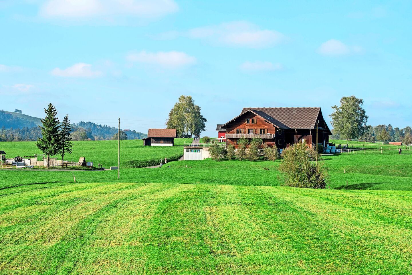 Bei einer Hofübergabe kann der selbstbewirtschaftende Nachfolger das Gewerbe zum Ertragswert übernehmen. Die Grundlagen dafür sind im bäuerlichen Bodenrecht und der Schätzungsanleitung zu finden. Insbesondere bei der Bewertung des Bauernhauses zeichnen sich Veränderungen ab.