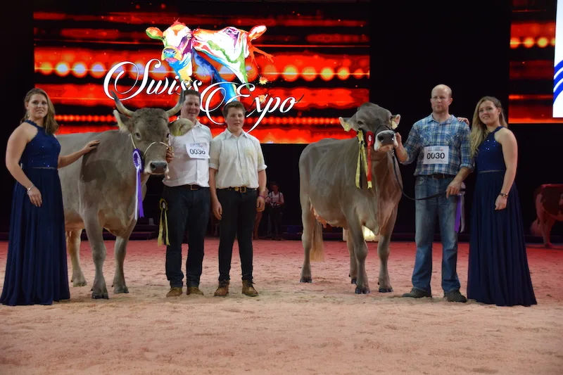 3eccc6c8a075d49f56a6c506e527b869aef6abfc Grand Champion OB: Voran Tamara (links) von Paul Korrodi aus Schönenberg LU und die Reserve Buchers Valido Livia von Thoams Bucher aus Neuenkirch LU. Bei der Schöneuterwahl tauschten diese beiden Kühe die Plätze. (Bild jsb)
