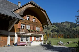 Vor einem Kauf eines Grundstücks sollte überprüft werden, ob vorhandene Bauten und Anlagen bewilligt sind und bestimmungsgemäss/rechtmässig genutzt werden.