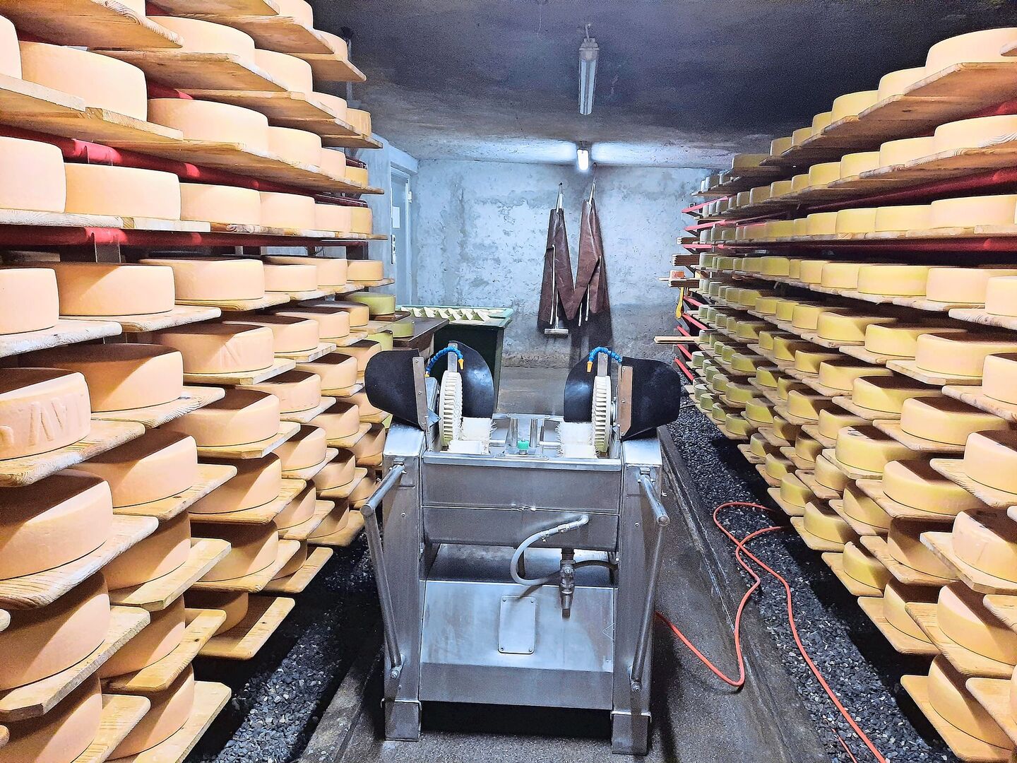Der Käsekeller ist voll, die Bauernfamilien dürfen die ersten Laibe abholen.