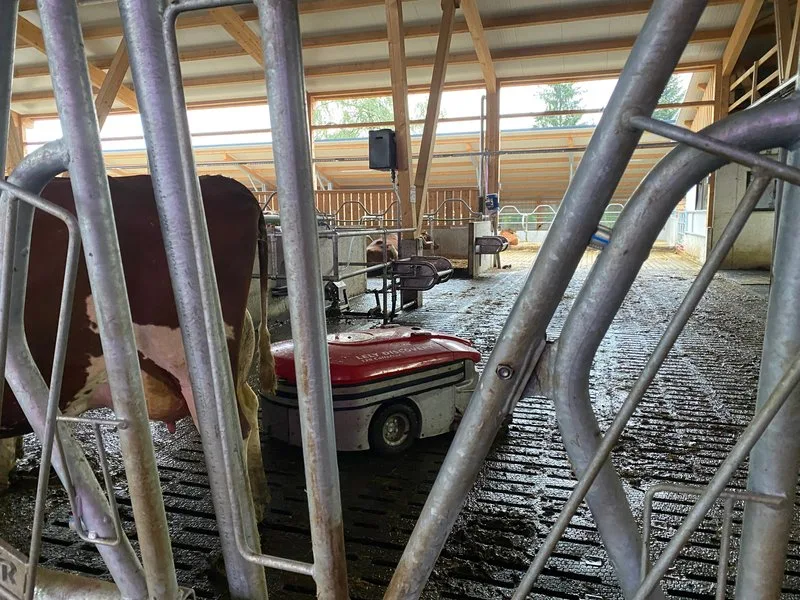 Stallbau_3-800px Diese Massnahmen helfen am meisten, Nährstoffverluste zu reduzieren