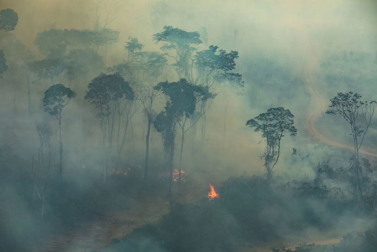3084ebc7506796672010a07244fec0bfbb8aa935 Die Brände im Amazonas-Gebiet sorgen weltweit für Empörung. (Bild Victor Moriyama / Greenpeace)