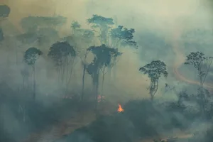 Die Brände im Amazonas-Gebiet sorgen weltweit für Empörung. (Bild Victor Moriyama / Greenpeace)