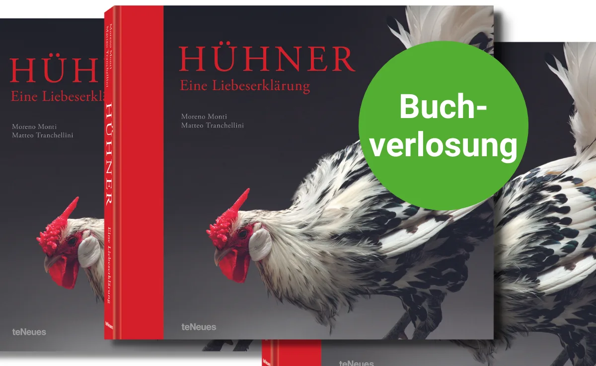 buch-huhn Buchbesprechung: «Hühner – eine Liebeserklärung» von Moreno Monti und Matteo Tranchellini