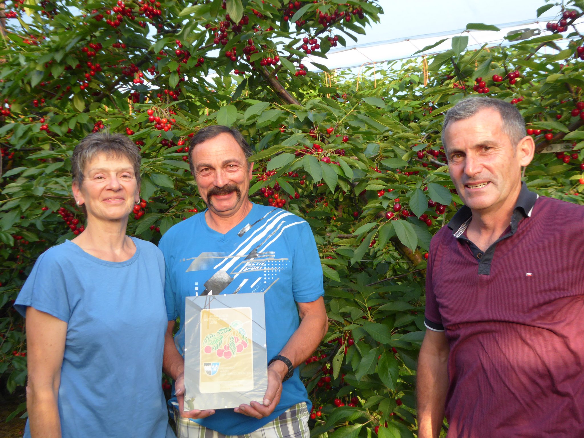 Franz Freiermuth vom VAOP (rechts) übergab Zita und Hansruedi Burkart aus Obermumpf  den Preis für die schönste Aargauer Kirschenanlage. (Bild zVg)