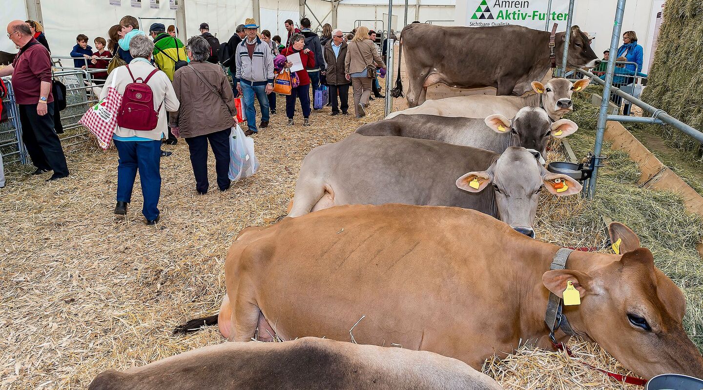 Dank Kontakten Verständnis für die Landwirtschaft fördern. Tiere und Menschen begegnen sich im Tierzelt an der Luga.