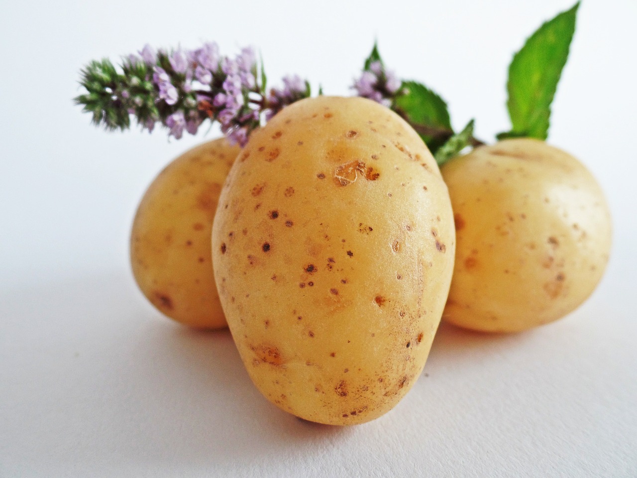 Es wurden teilweise Frassschäden und grüne Knollen festgestellt, die Qualität der Frühkartoffeln sei aber gut. (Bild HolgersFotografie/Pixabay)