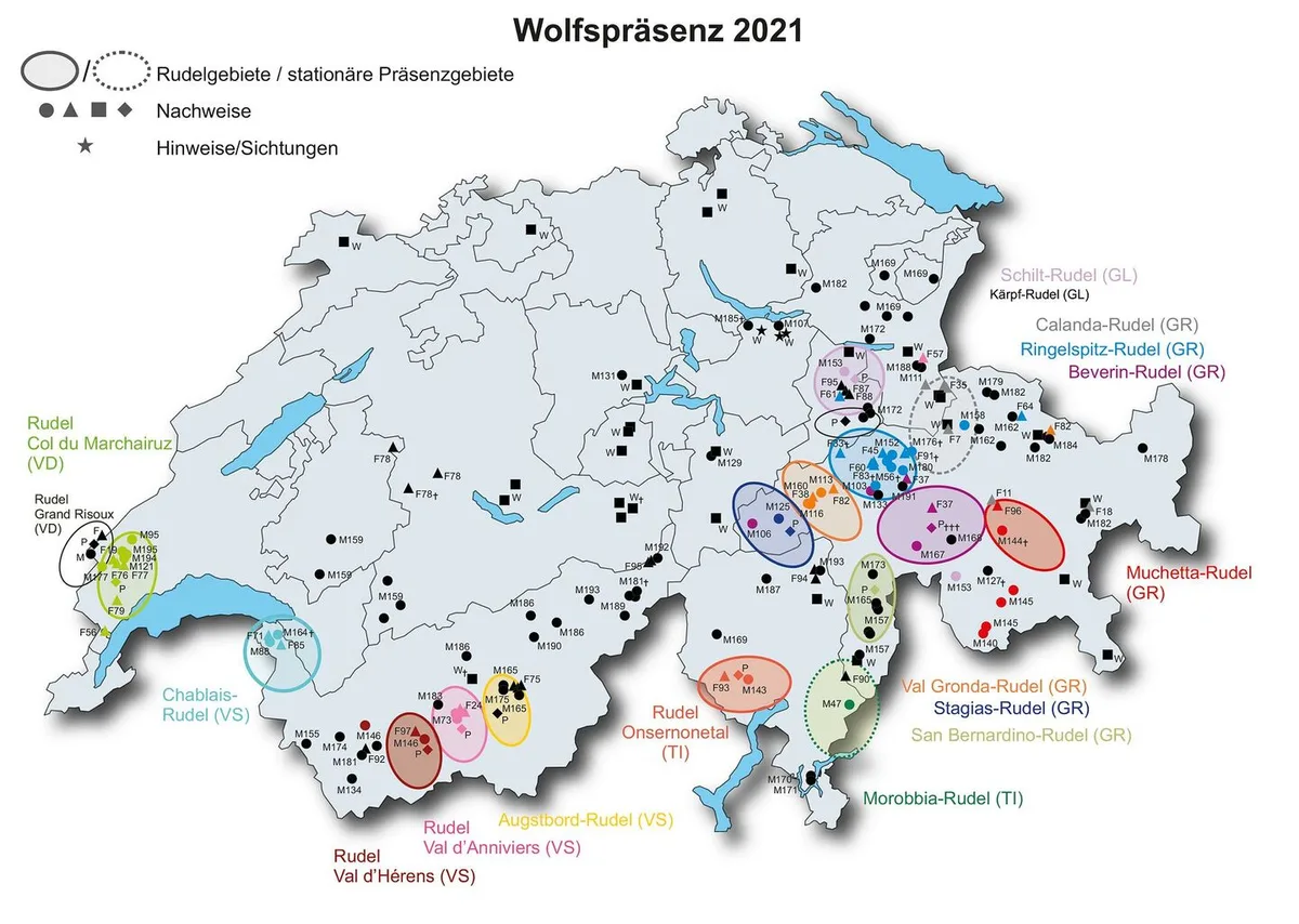 e3b8dd319d03753da1ea6e0f0db6df348b8a66e672ecc9721315ca2343057ab6 Der Bund spricht zusätzlich 5,7 Mio Franken um das Alpvieh vor dem Wolf zu schützen